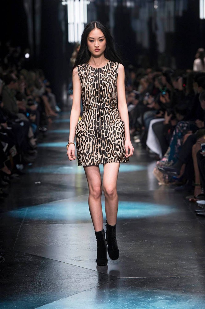 &copy; Roberto Cavalli