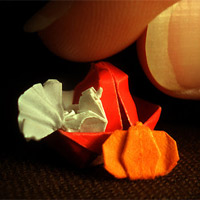 Оригами Origami