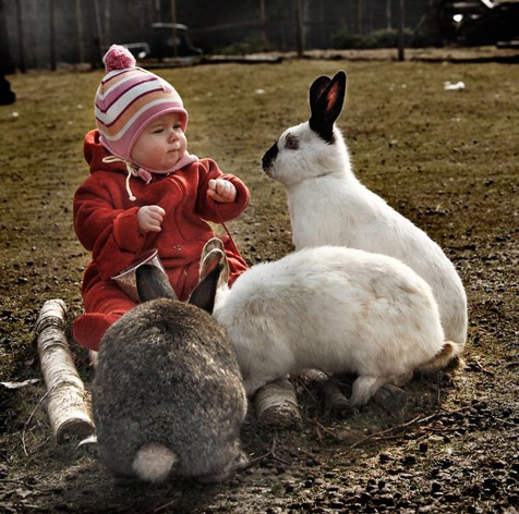 Милый кролик © Наталья Юрьевна Савостьянова