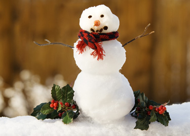 снеговик © Cheryl E. Davis