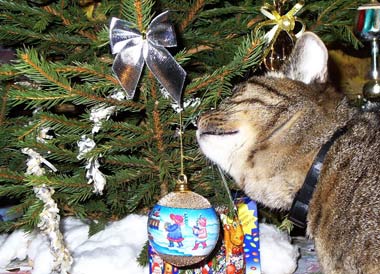 кошка елка новый год