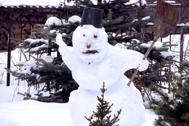 Снеговик фото