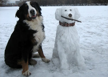 снеговик собака